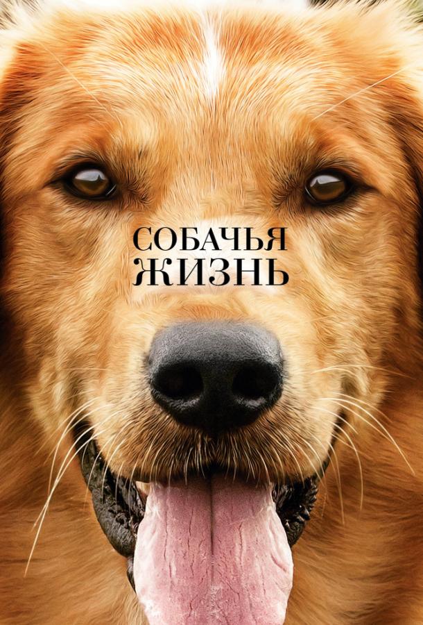 Собачья жизнь 2017 Смотреть Онлайн Бесплатно в Хорошем Качестве